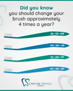 Your toothbrush works hard every day to keep your smile clean and healthy. Over time, the bristles wear down and become less effective at removing plaque and bacteria. Replacing your toothbrush regularly helps ensure you’re getting the best clean possible every time you brush.

Keeping up with small habits like this can make a big difference in your long-term oral health. If it’s been a while since your last dental visit, now is a great time to schedule your appointment with our team!

ChesterSpringsDental.com

#ChesterSpringsDental #DentalTips #HealthySmile #OralHealth #ToothbrushTips #DentalCare #FamilyDentistry #ExtonPA #SmileHealthy #PreventiveDentistry